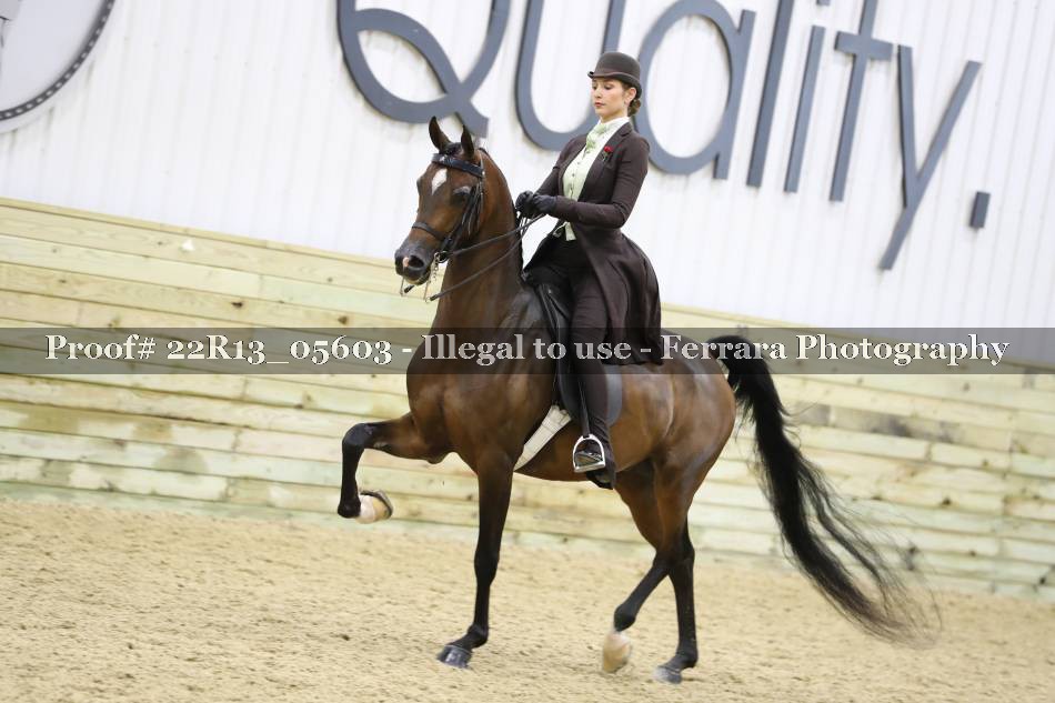 Proof 22R13_05603