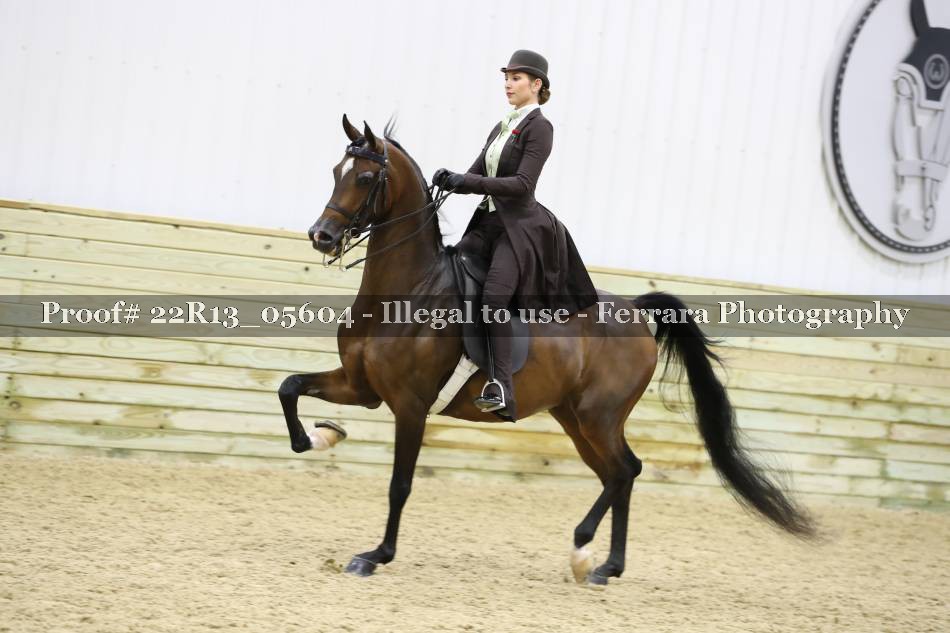 Proof 22R13_05604