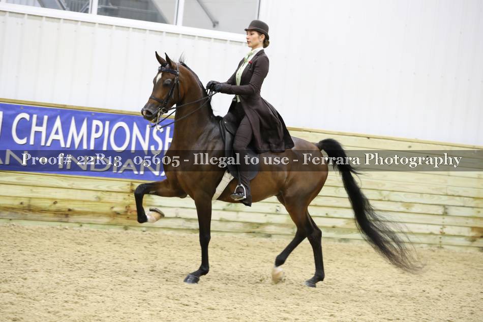 Proof 22R13_05605
