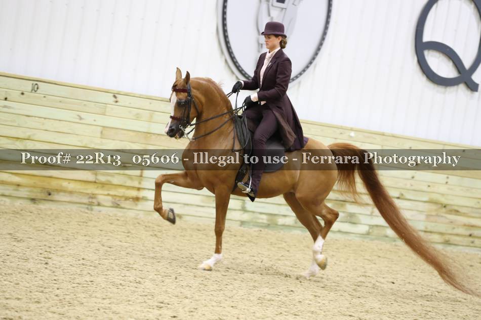 Proof 22R13_05606