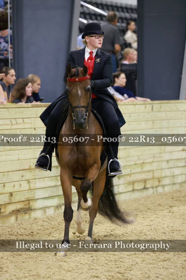 Proof 22R13_05607