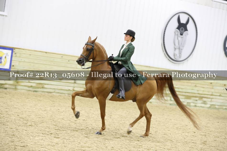 Proof 22R13_05608