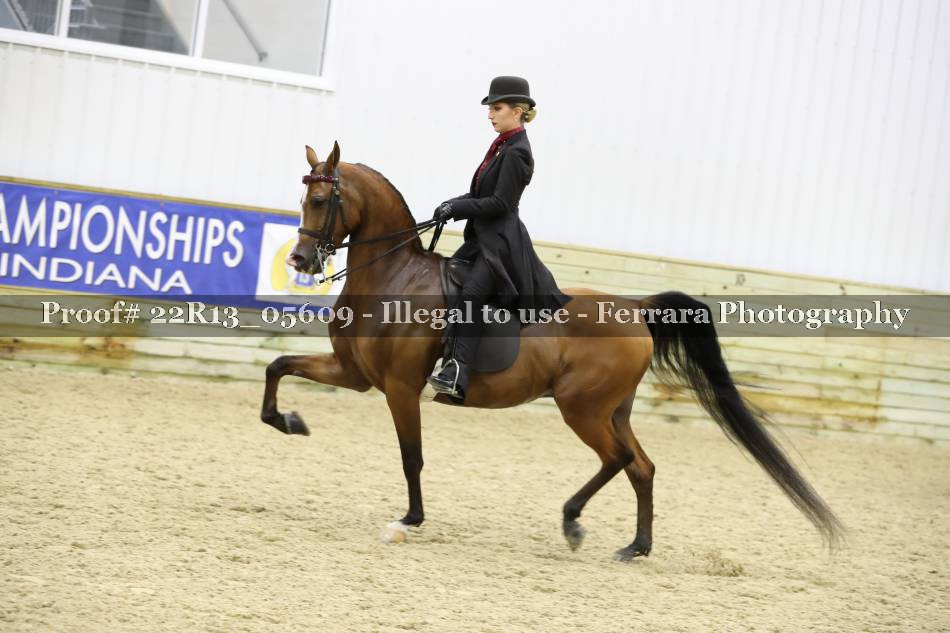 Proof 22R13_05609