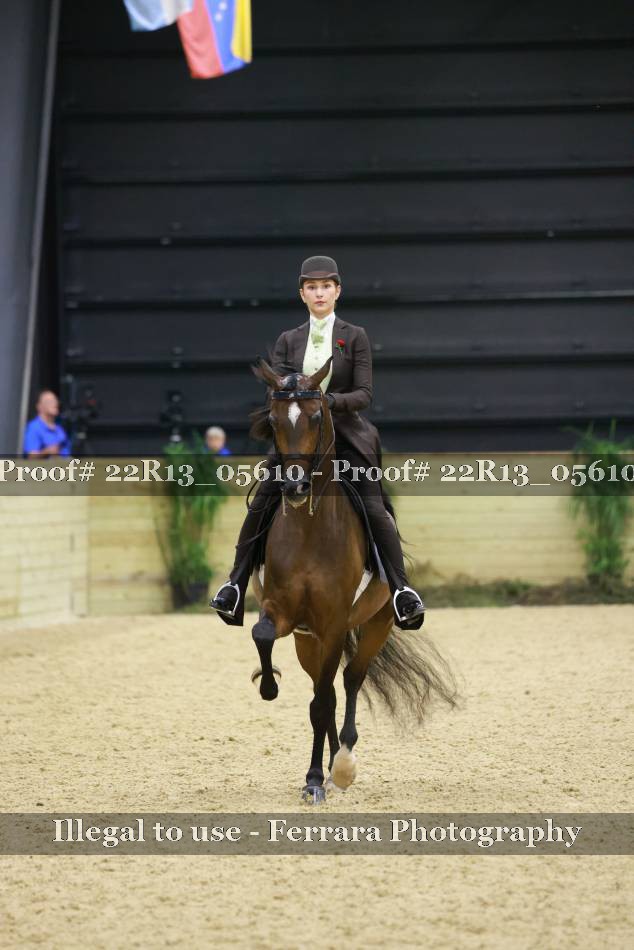 Proof 22R13_05610