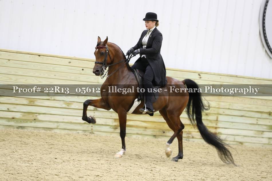 Proof 22R13_05612
