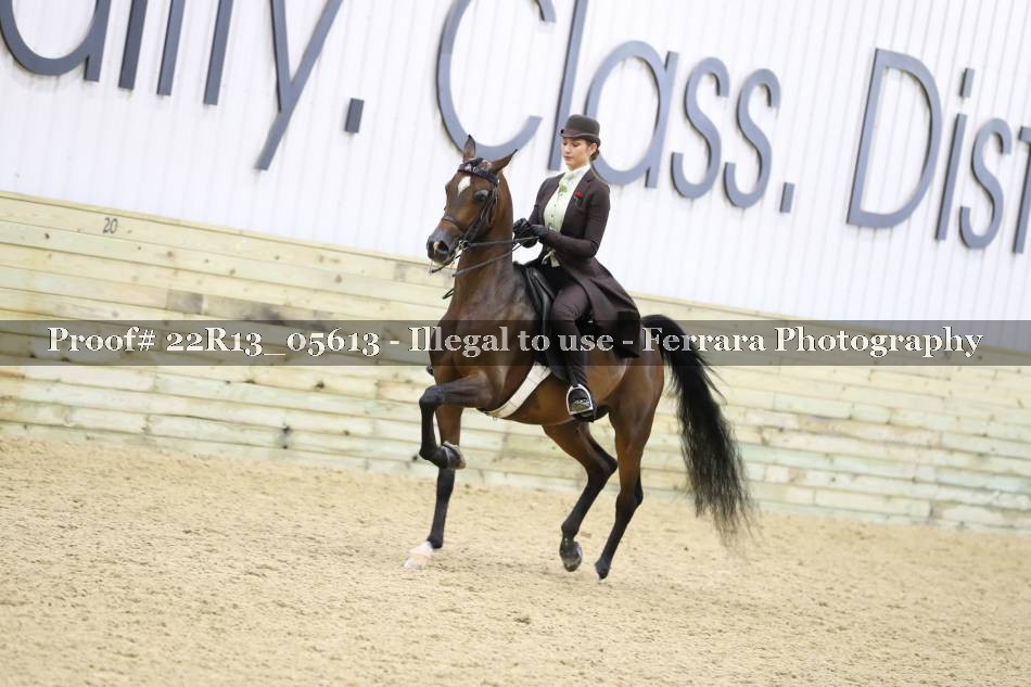 Proof 22R13_05613