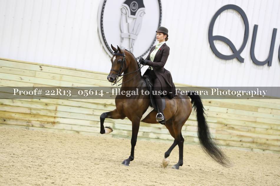 Proof 22R13_05614