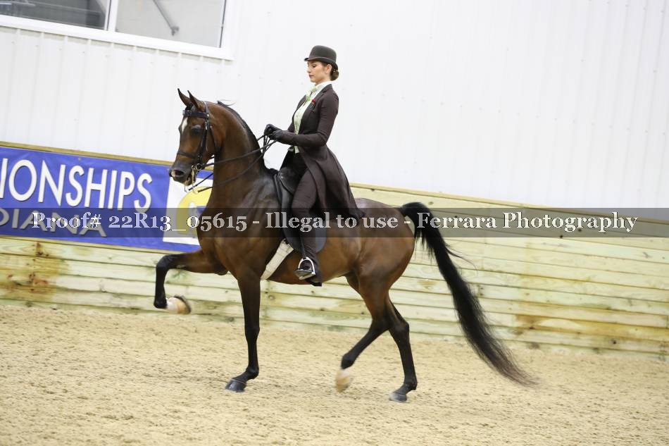 Proof 22R13_05615