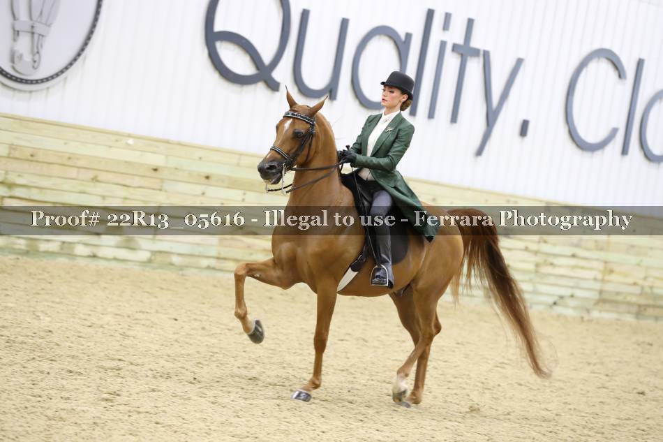 Proof 22R13_05616