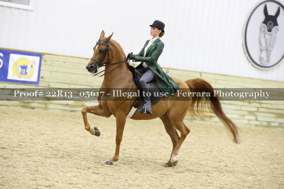 Proof 22R13_05617