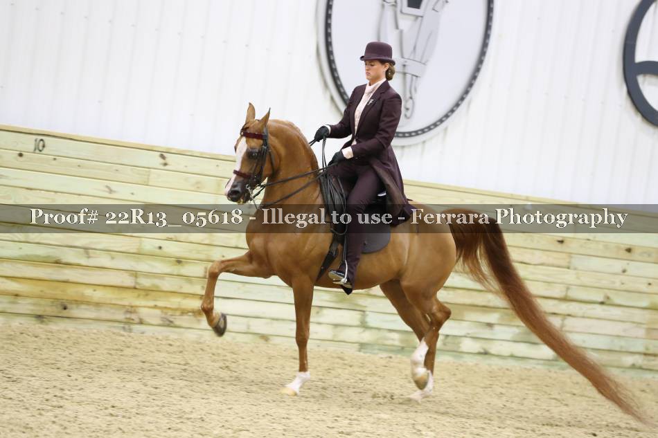 Proof 22R13_05618