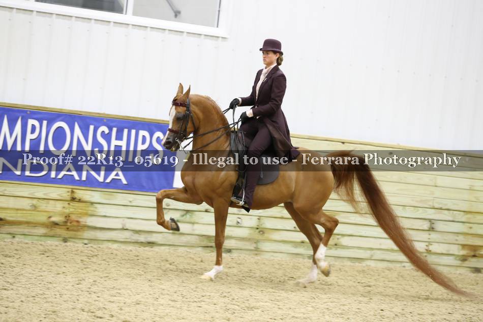 Proof 22R13_05619