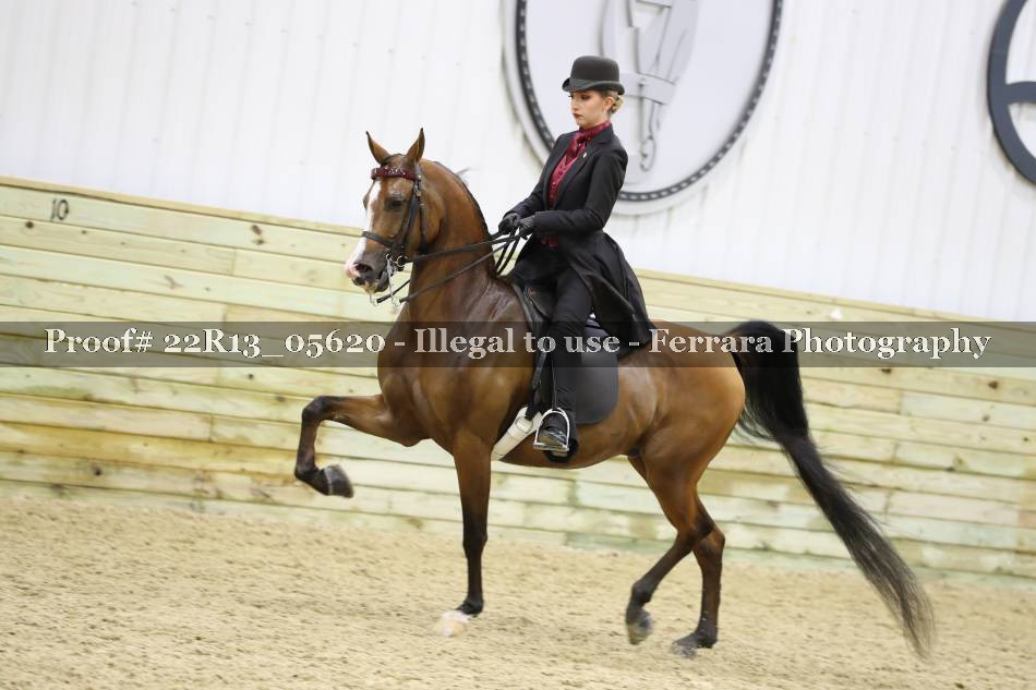 Proof 22R13_05620