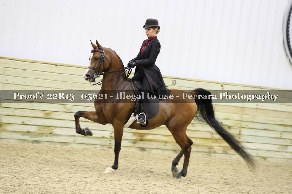 Proof 22R13_05621