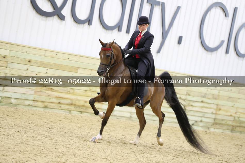 Proof 22R13_05622