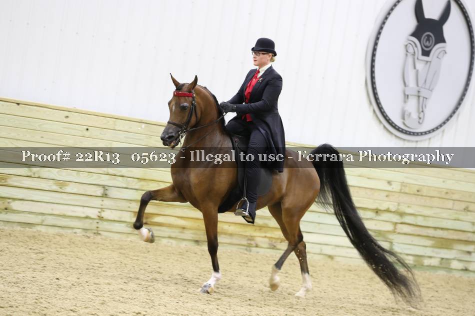 Proof 22R13_05623