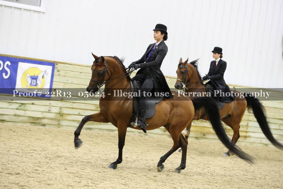 Proof 22R13_05624