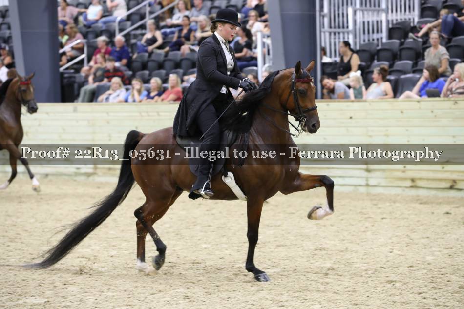 Proof 22R13_05631
