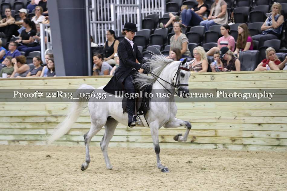 Proof 22R13_05635