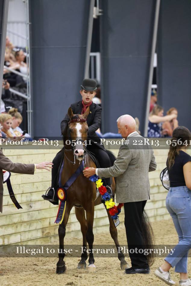 Proof 22R13_05641