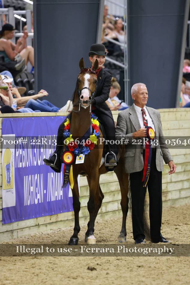 Proof 22R13_05646