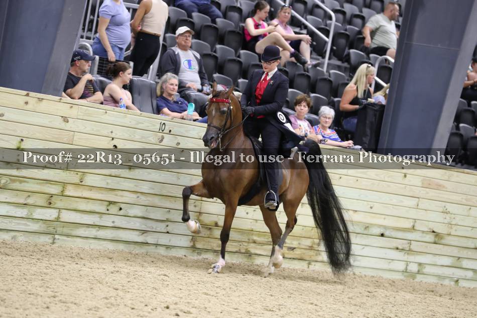 Proof 22R13_05651