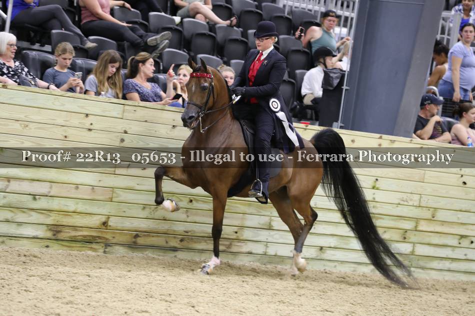 Proof 22R13_05653