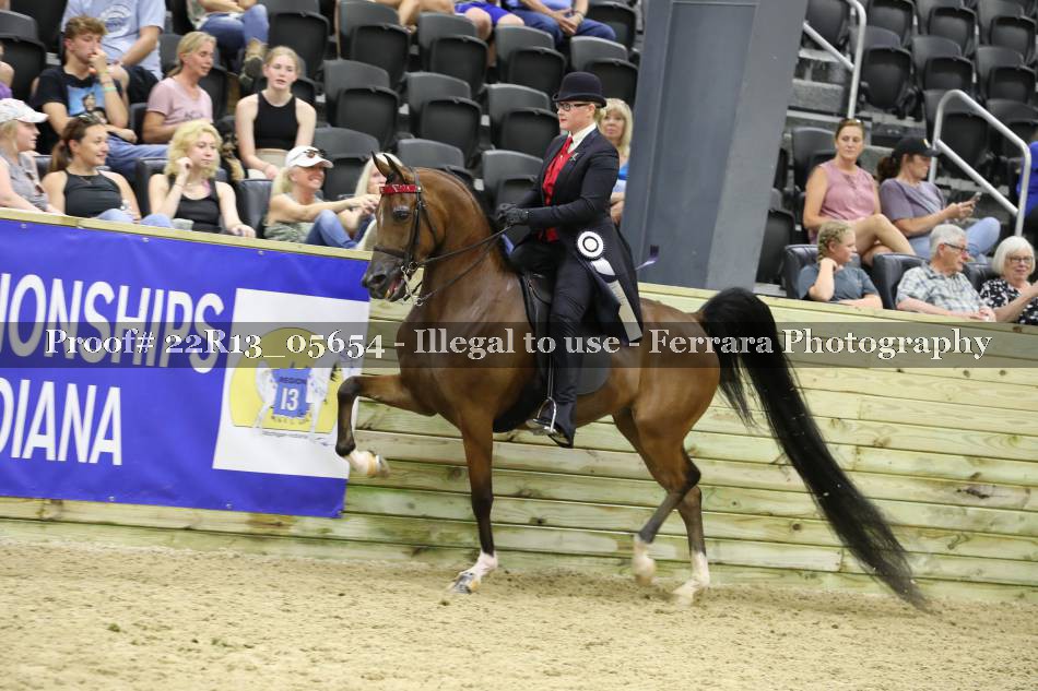 Proof 22R13_05654