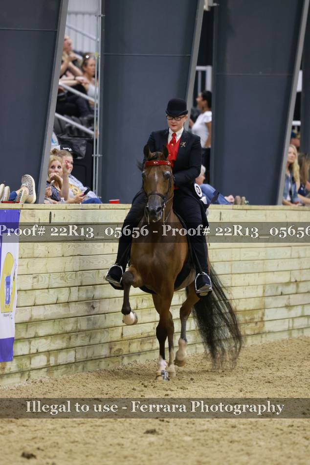 Proof 22R13_05656