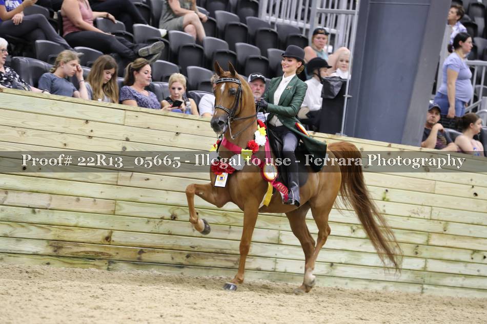 Proof 22R13_05665