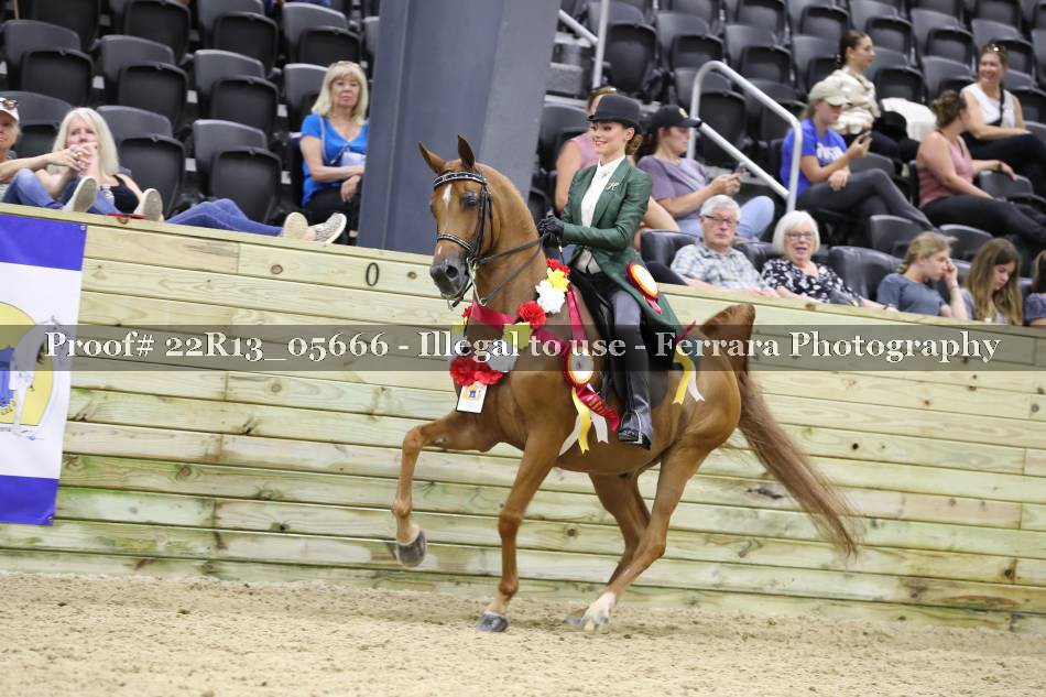 Proof 22R13_05666