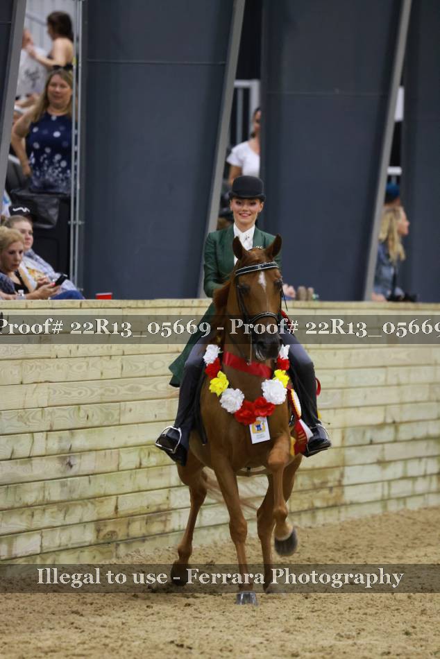 Proof 22R13_05669