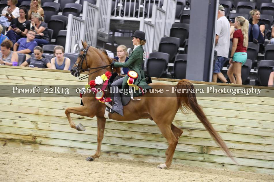 Proof 22R13_05670