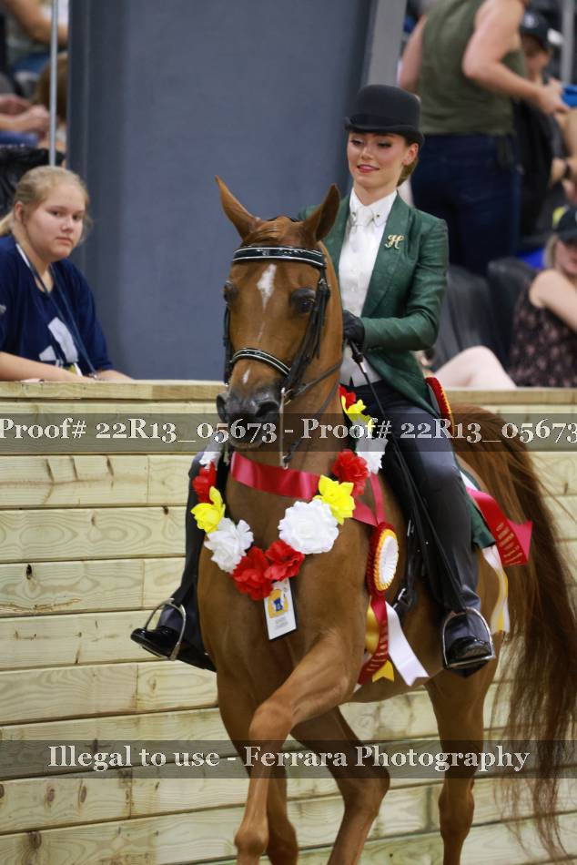 Proof 22R13_05673