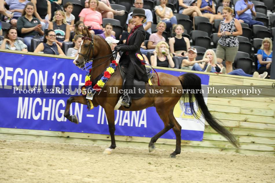Proof 22R13_05677