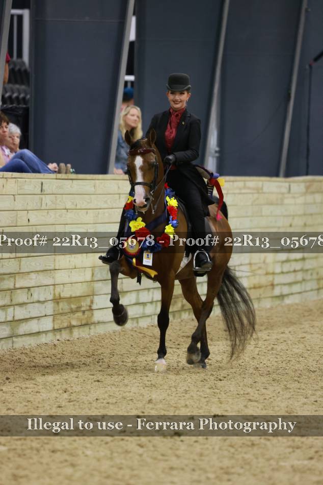 Proof 22R13_05678