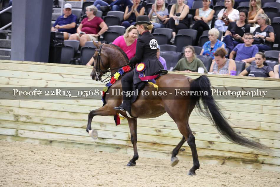 Proof 22R13_05681