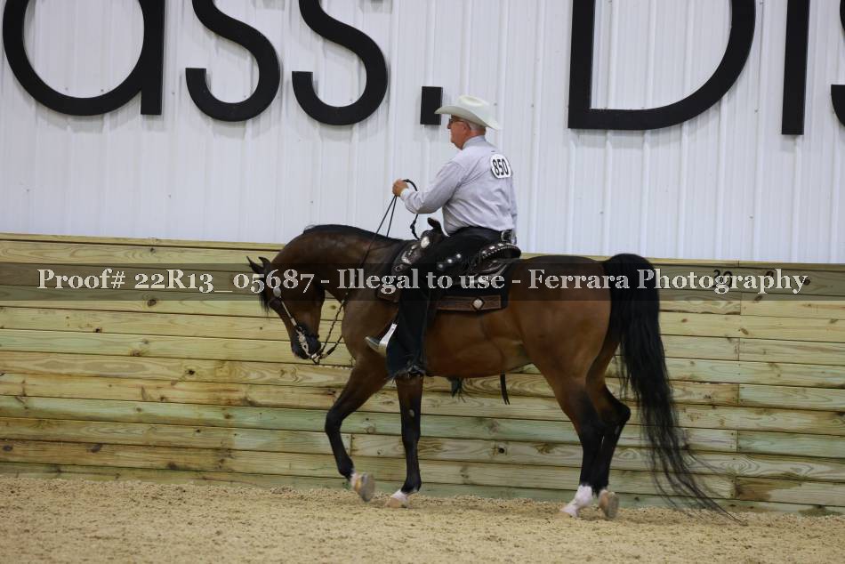 Proof 22R13_05687
