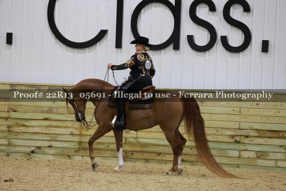 Proof 22R13_05691