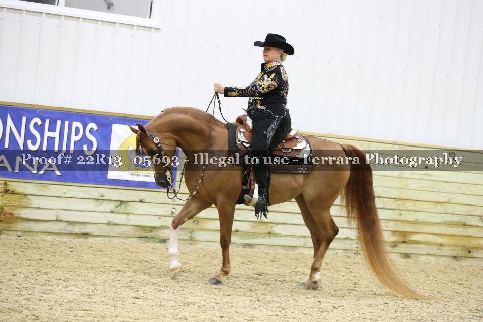 Proof 22R13_05693