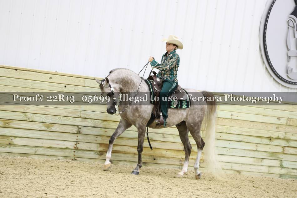 Proof 22R13_05699
