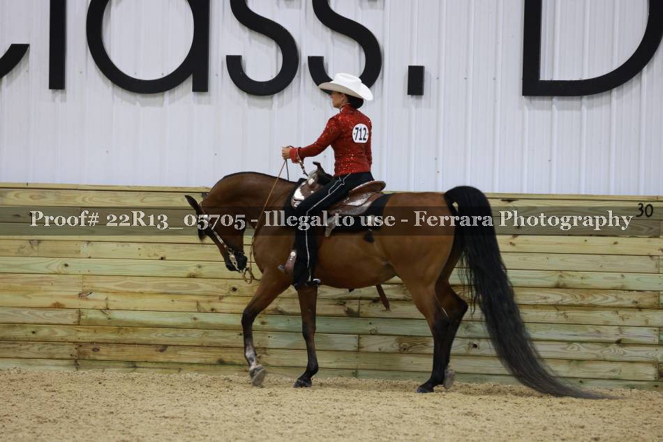 Proof 22R13_05705