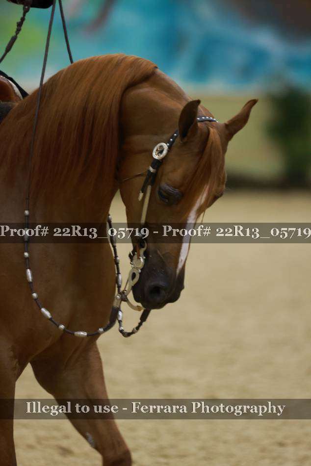 Proof 22R13_05719
