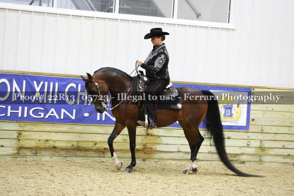 Proof 22R13_05723