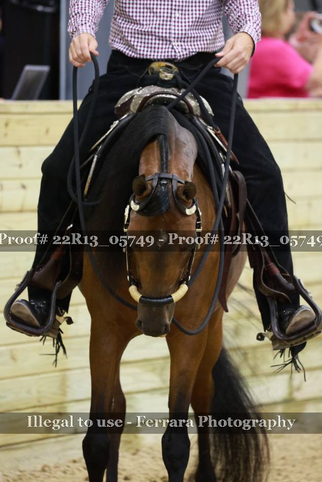 Proof 22R13_05749