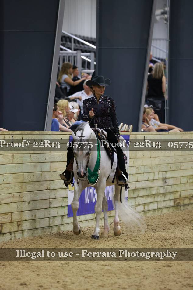Proof 22R13_05775
