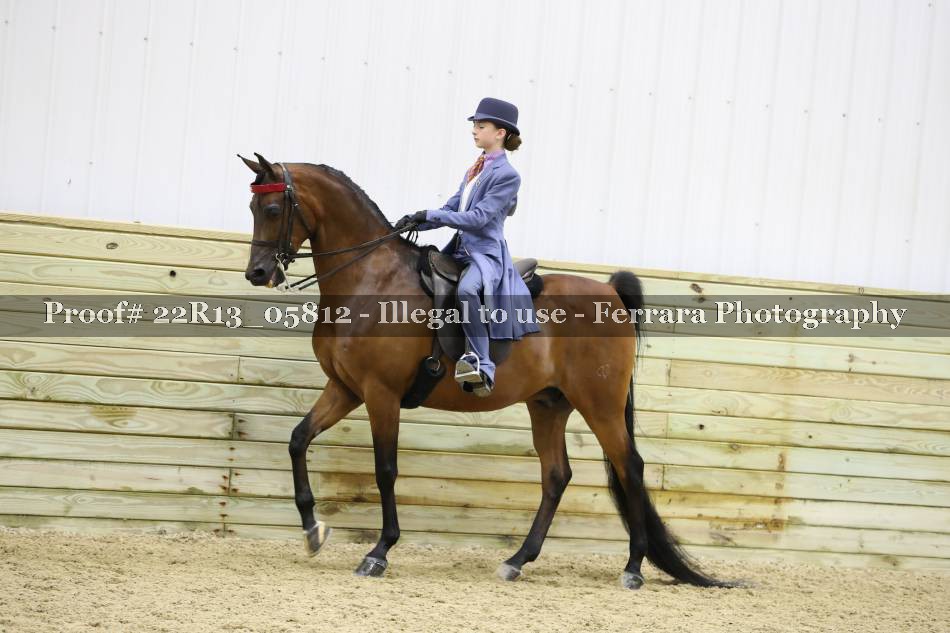 Proof 22R13_05812