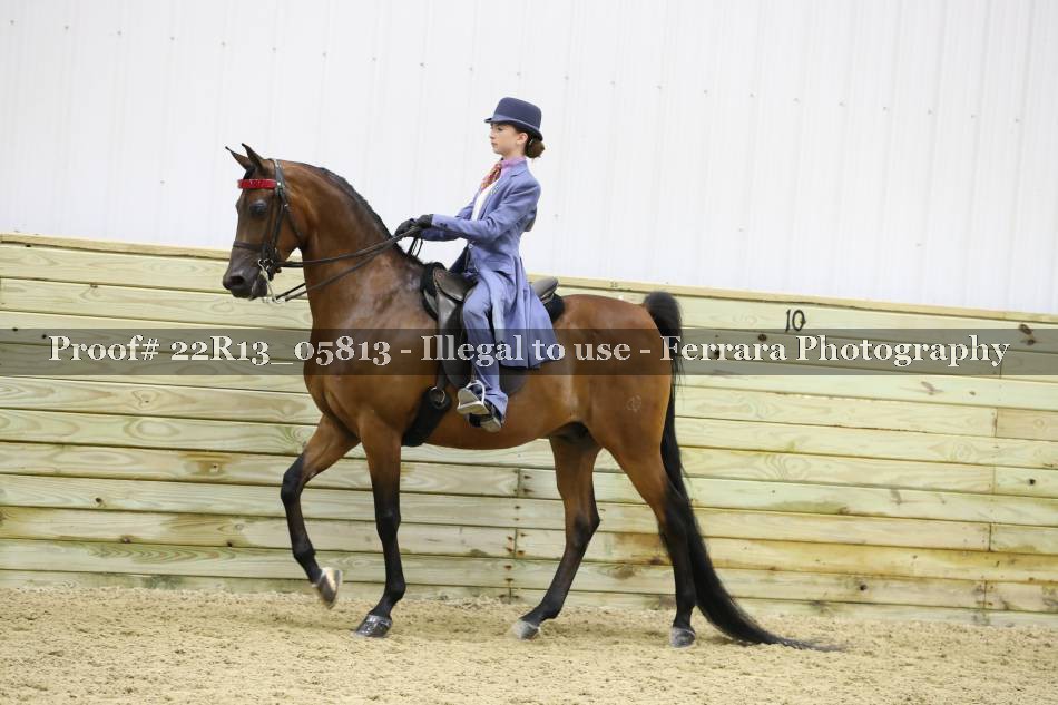 Proof 22R13_05813