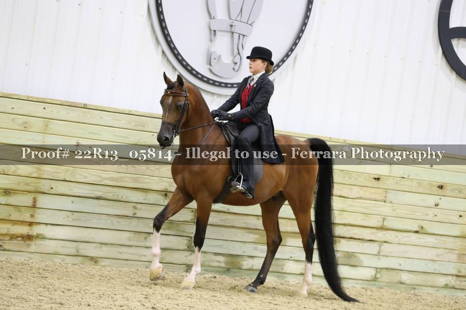 Proof 22R13_05814