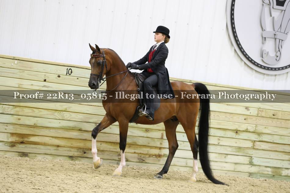 Proof 22R13_05815